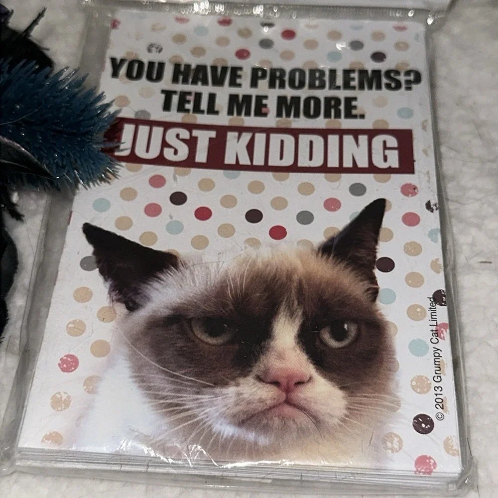 Grumpy Cat Blank Note Cards with Envelopes 8 Count Sarcastic Meme Stationery